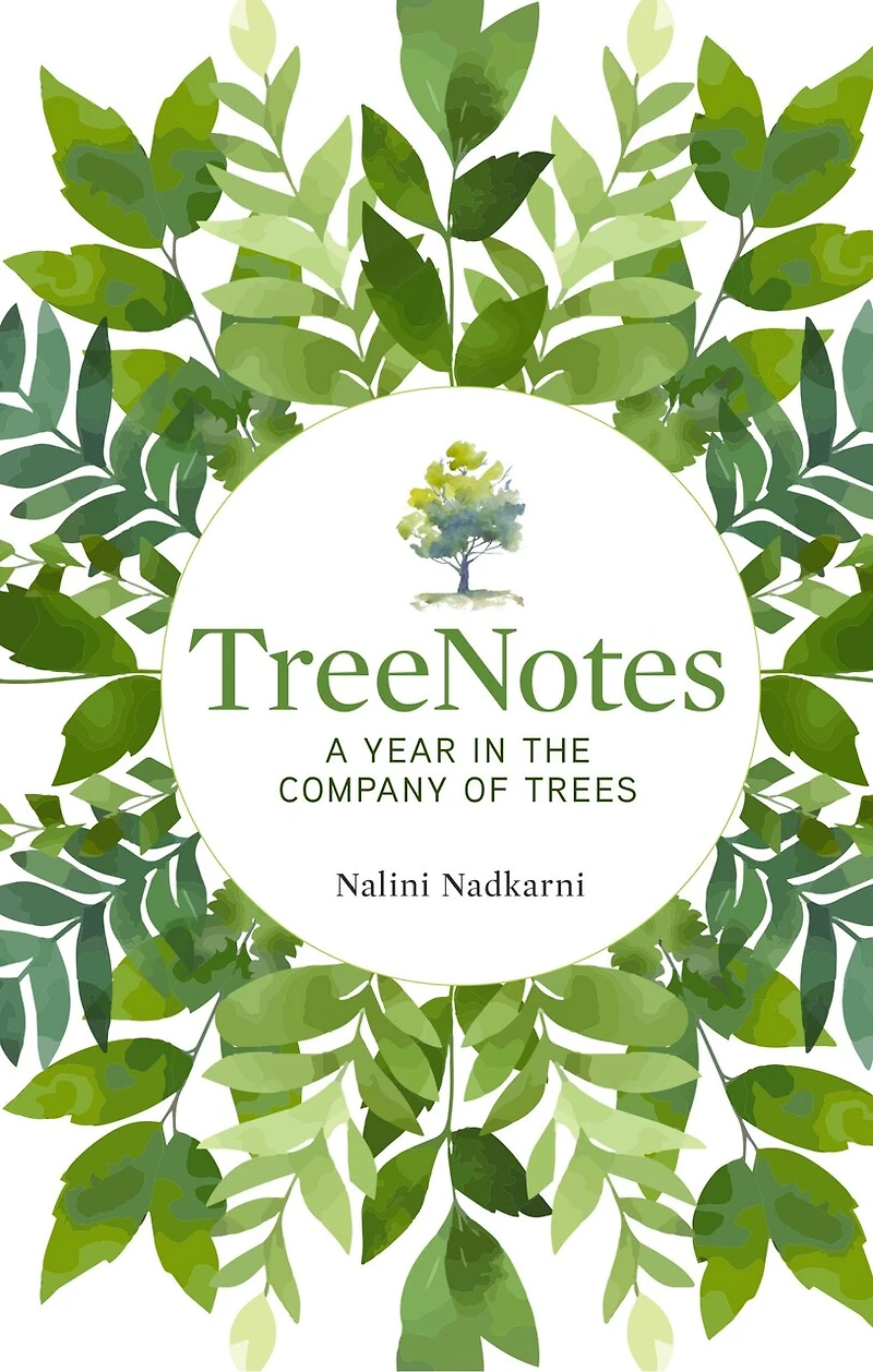 TreeNotes: A Year the Company of Trees