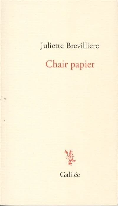 Chair papier