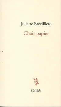 Chair papier