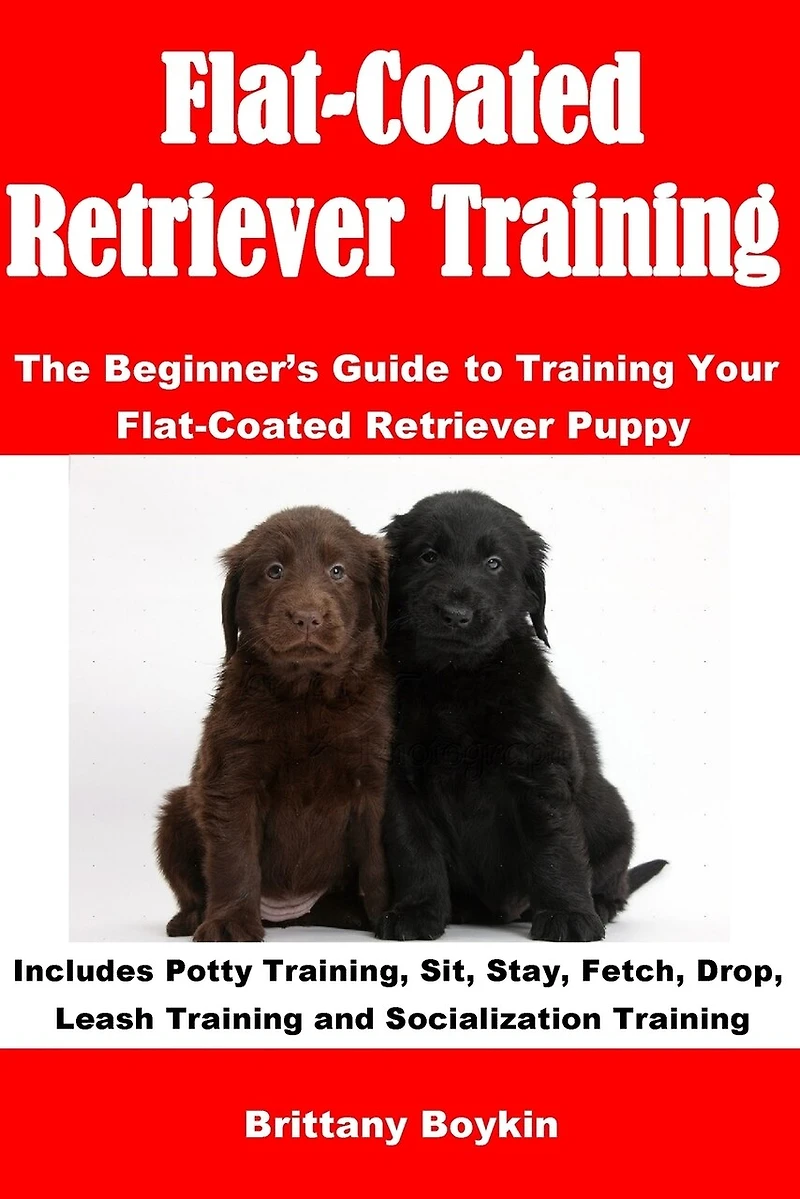 Flat-Coated Retriever Training: The Beginner's Guide to Training Your Flat-Coated Retriever Puppy: Includes Potty Training, Sit, Stay, Fetch, Drop, Leash Training and Socialization Training