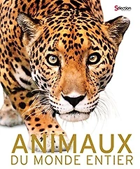 Animaux du monde entier