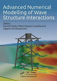 Advanced Numerical Modelling of Wave Structure Interaction