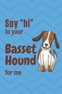 Say "hi" to your Basset Hound for me