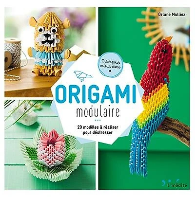 Origami modulaire: 20 modèles à réaliser pour déstresser