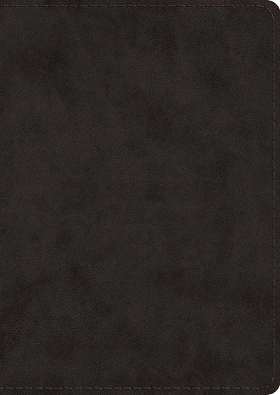 Esv Study Bible, Large Print (trutone, Black)