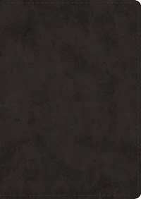 Esv Study Bible, Large Print (trutone, Black)