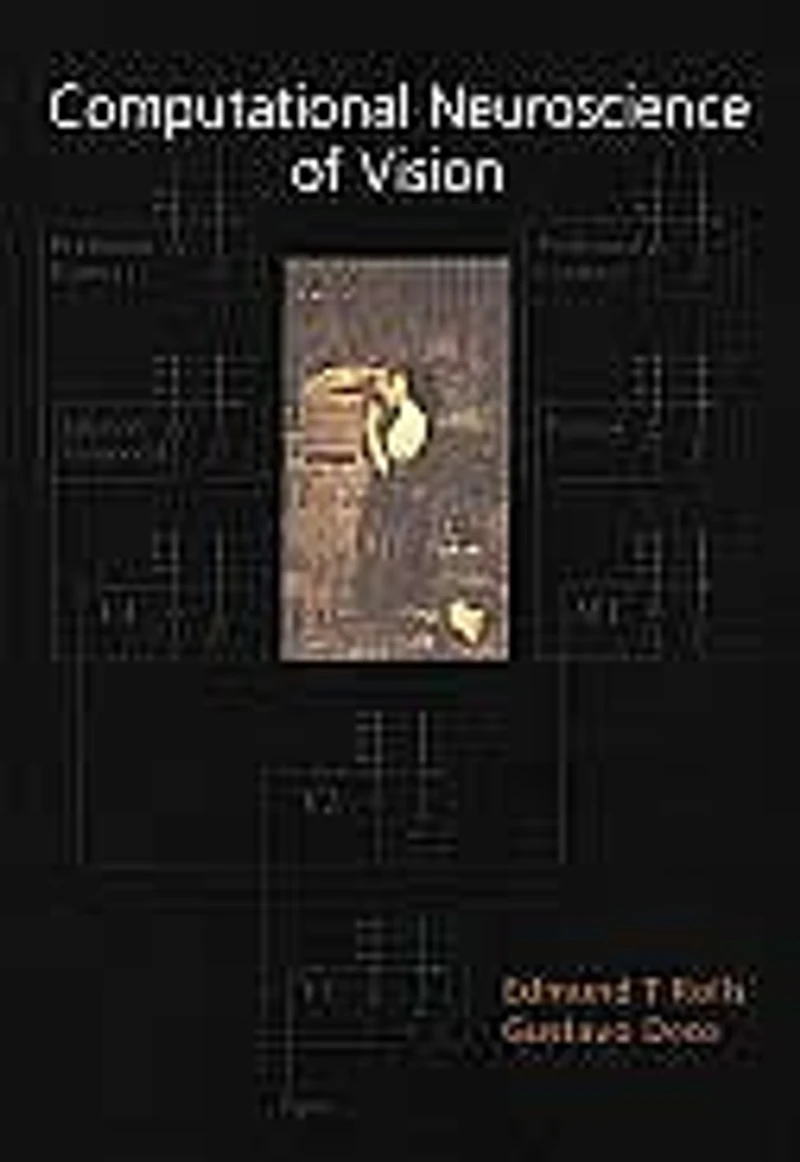 COMPUTATIONAL NEUROSCIENCE OF VISION