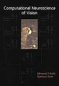 COMPUTATIONAL NEUROSCIENCE OF VISION