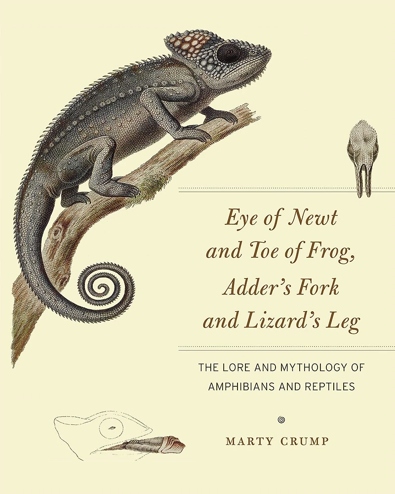 Eye of Newt and Toe Frog, Adder's Fork Lizard's Leg: The Lore Mythology Amphibians Reptiles