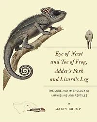Eye of Newt and Toe Frog, Adder's Fork Lizard's Leg: The Lore Mythology Amphibians Reptiles