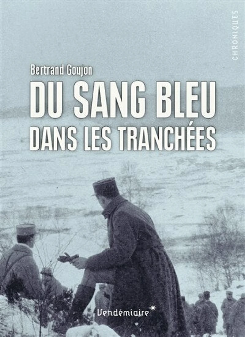 Du sang bleu dans les tranchées: expériences militaires de nobles français durant la Grande Guerre