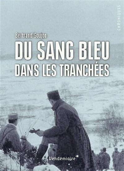 Du sang bleu dans les tranchées: expériences militaires de nobles français durant la Grande Guerre