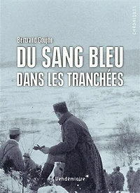 Du sang bleu dans les tranchées: expériences militaires de nobles français durant la Grande Guerre