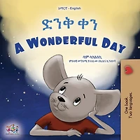 A Wonderful Day (Amharic English Bilingual Children's Book