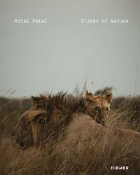 Mital Patel: States of Nature