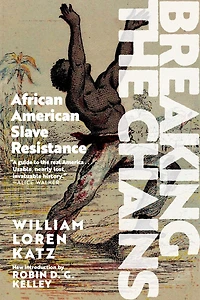 Breaking the Chains: African American Slave Resistance