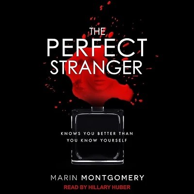 The Perfect Stranger Lib/E