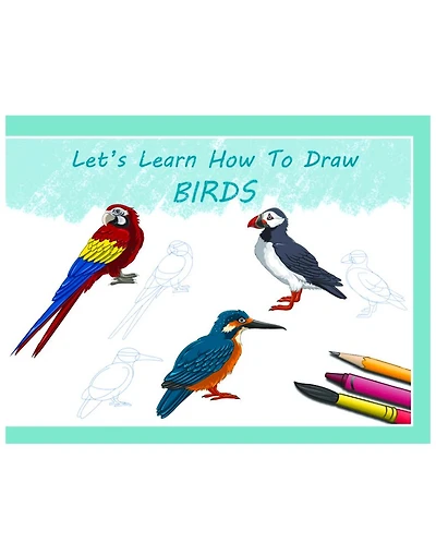 Let's Learn How To Draw Birds