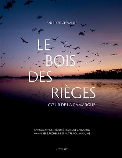 Les bois des Rièges: coeur de la Camargue