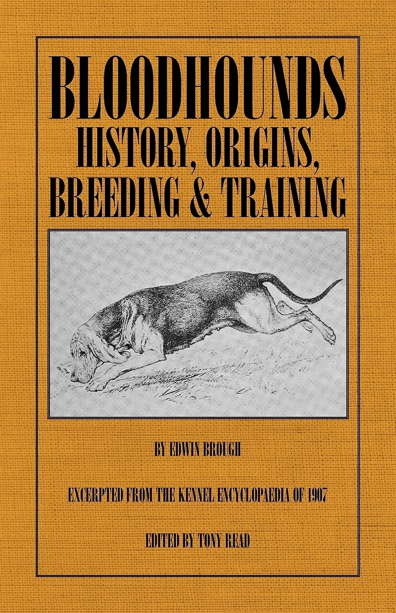 Bloodhounds: History - Origins - Breeding