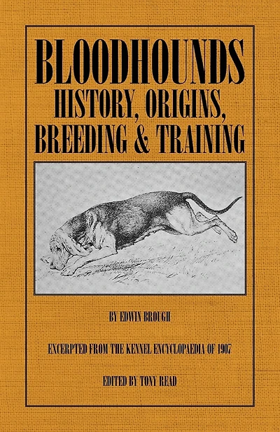 Bloodhounds: History - Origins - Breeding