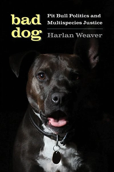 Bad Dog: Pit Bull Politics And Multispecies Justice