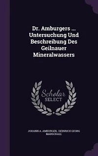 Dr. Amburgers ... Untersuchung Und Beschreibung Des Geilnauer Mineralwassers