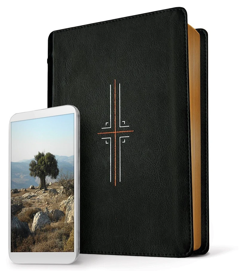 Filament Bible Nlt (hardcover Cloth, Gray): The Print+digital