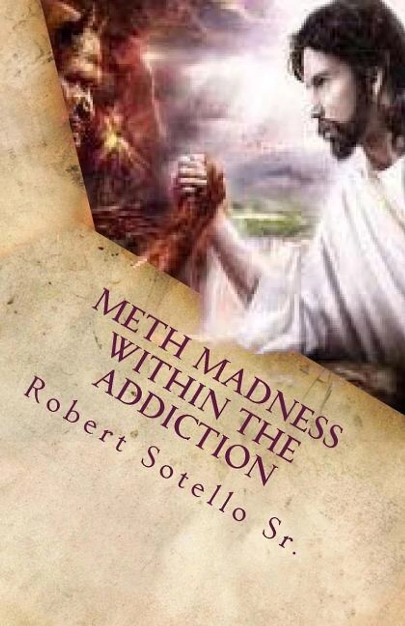 METH Madness Within The Addiction