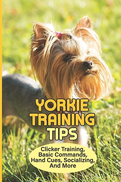 Yorkie Training Tips: Clicker Training, Basic Commands, Hand Cues, Socializing, And More: Training A Border Collieto Come When Called