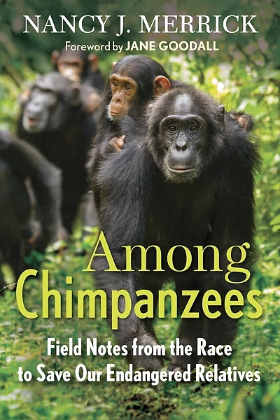 Among Chimpanzees: Field Notes From The Race To Save Our Endangered Relatives