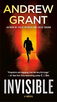 Invisible: A Novel