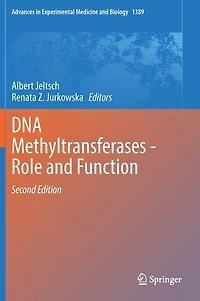 Dna Methyltransferases - Role And Function