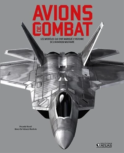 Avions de combat: les modèles qui ont marqué l'histoire de l'aviation militaire