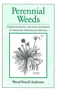 Perennial Weeds: Characteristics and Identification of Selected Herbaceous Species