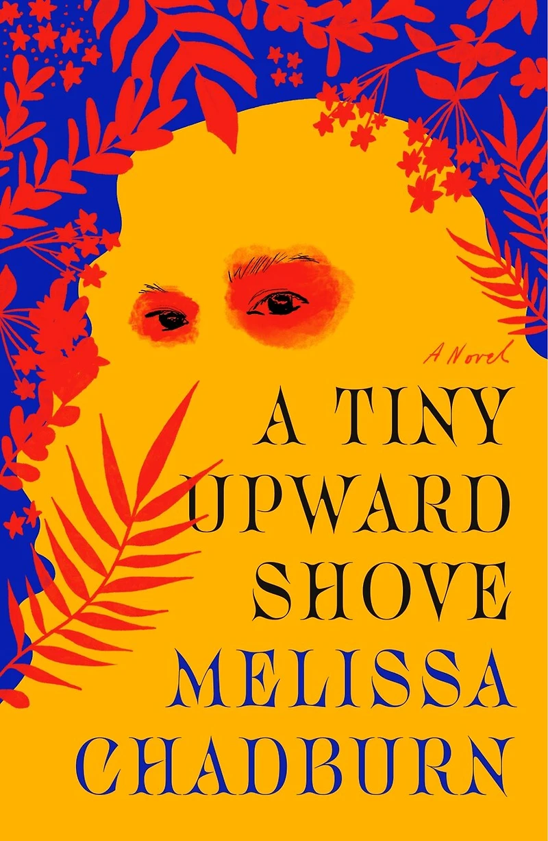 A Tiny Upward Shove: Novel
