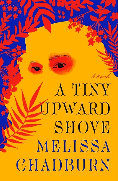 A Tiny Upward Shove: Novel