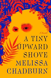 A Tiny Upward Shove: Novel