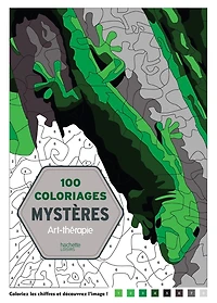 100 COLORIAGES MYSTÈRES