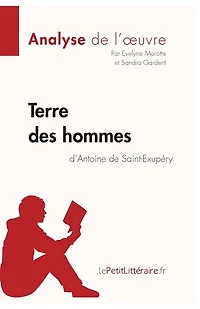 Terre des hommes d'Antoine de Saint-Exupéry (Analyse l'oeuvre): Analyse complète et résumé détaillé l'oeuvre