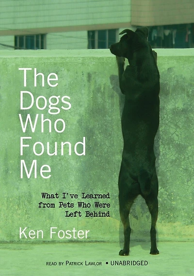 The Dogs Who Found Me: What I’ve Learned from Pets Were Left Behind
