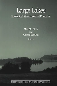Large Lakes: Ecological Structure and Function