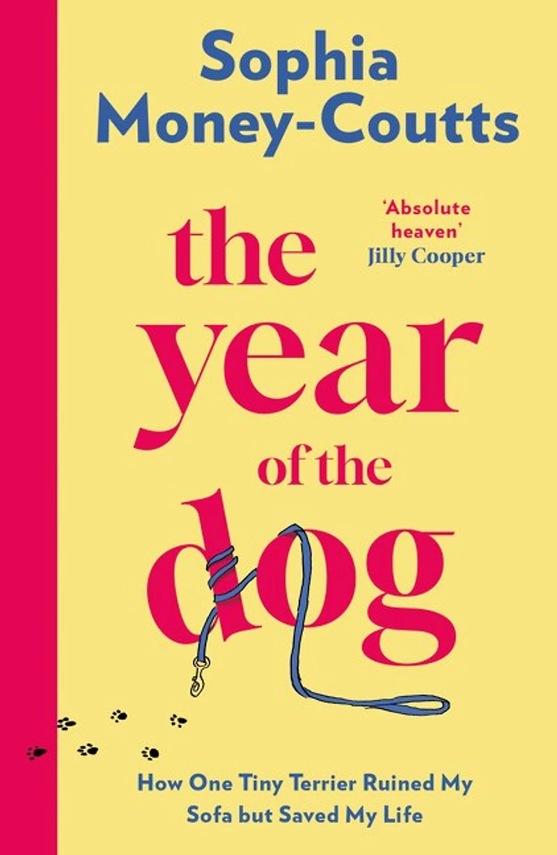 the Year of Dog: How One Tiny Terrier Ruined My Sofa but Saved Life