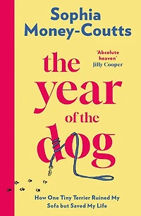 the Year of Dog: How One Tiny Terrier Ruined My Sofa but Saved Life