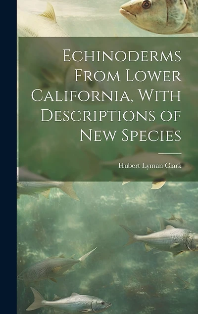 Echinoderms From Lower California, With Descriptions of new Species