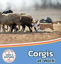 Corgis at Work