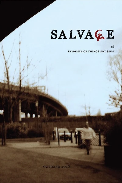 Salvage #6: Evidence Of Things Not Seen