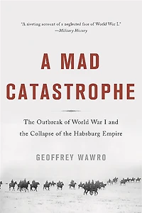 A Mad Catastrophe: the Outbreak of World War I and Collapse Habsburg Empire