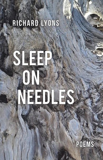 Sleep on Needles