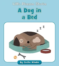 a Dog Bed